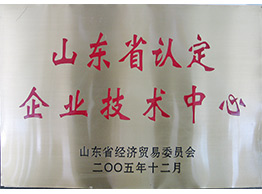 Shandong Authorized Enterprise Technology Center 2005